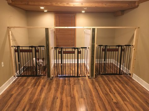 Dog Room Multiple Dogs, Dog Stalls Indoors, Garage Area For Dog, Indoor Dog Boarding Kennel Ideas, Indoor Dog Kennel Room, Dog Boarding Ideas In Home, Home Dog Boarding Ideas, Large Dog Cage Ideas Indoor, Indoor Dog Room Ideas