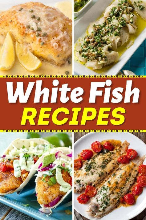 Enjoy a tasty dinner with these easy white fish recipes. From baked to pan-fried to grilled, there are so many wonderful ways to prepare white fish. Whiting Filets Recipes, White Bass Recipes, Whiting Fillets Recipes, Easy White Fish Recipes, White Fish Dinner Recipes, White Fish Dinner, Fish Recipes Easy, Whiting Recipe, Salmon Greek