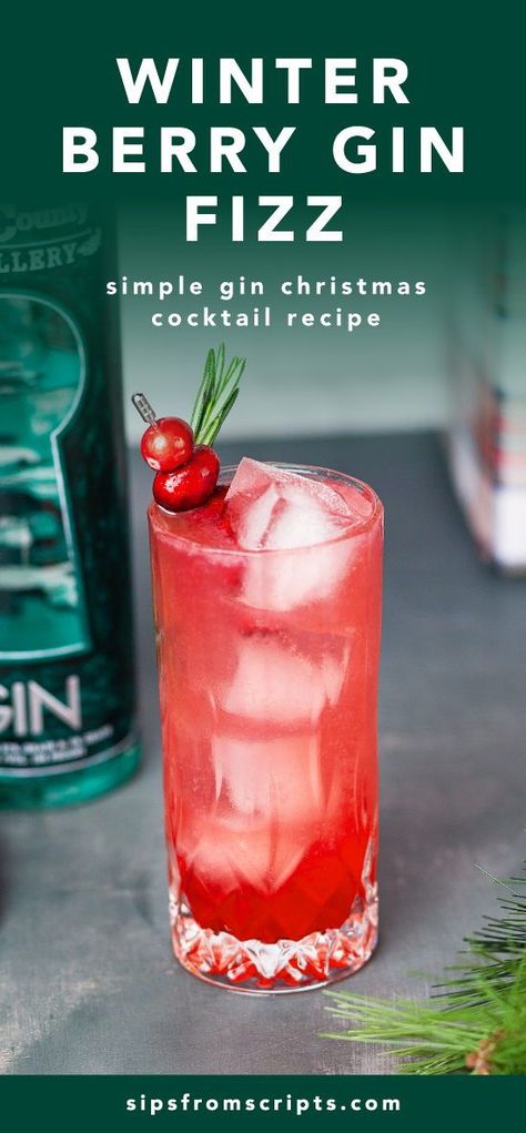 Slow Gin Fizz Recipes, Slow Gin Fizz, Raspberry Gin Cocktail, Berry Gin, Gin Fizz Recipe, Fizz Drinks, Gin Fizz Cocktail, Liquid Lunch, Raspberry Gin