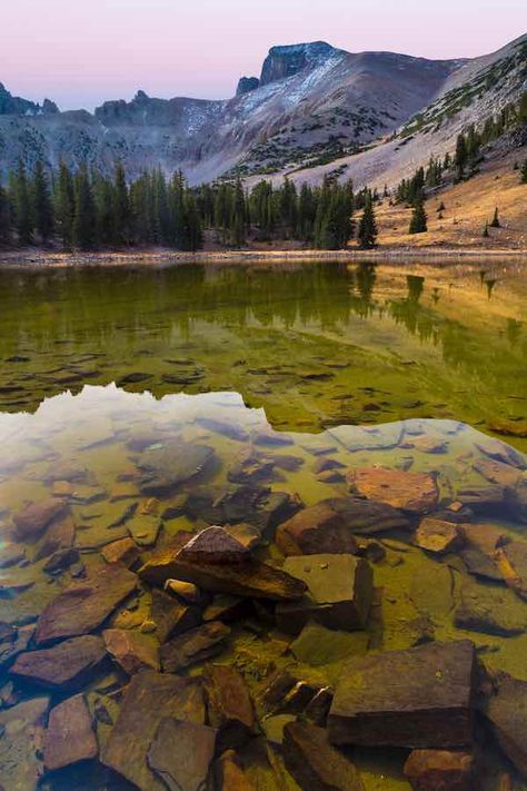 The Ultimate Guide to Great Basin National Park Camping 4 Us National Forests, Vacation 2023, Las Vegas Photography, Great Basin National Park, National Park Camping, Nevada Travel, Great Basin, Bubble Wall, Kings Canyon National Park