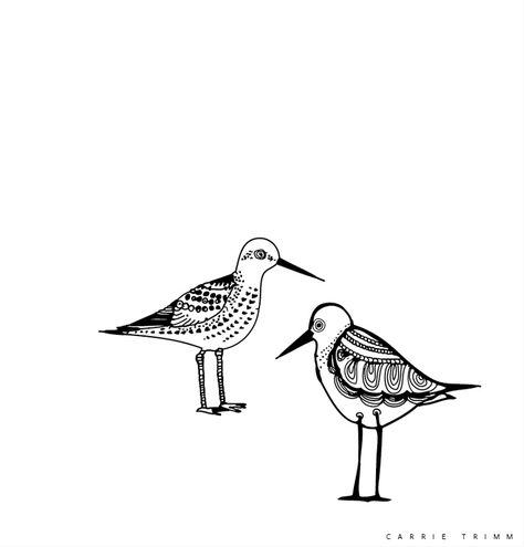 Sandpiper tattoo. Reminds me of my grandparents place, growing up, and of Martinique Beach :) How To Draw A Sandpiper, Sandpiper Tattoo, Shore Bird Art, Sandpiper Bird, Seagull Tattoo, Folk Illustration, Wedding Aesthetics, Beach Tattoo, Line Art Tattoos