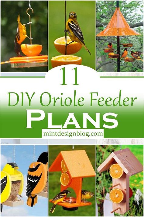 DIY Oriole Feeder Plans 1 Oriole Bird Feeders, Finch Feeders, Backyard Birds Feeders, Diy Jelly, Bird Feeder Plans, Oriole Bird, Wooden Bird Feeders, Bird Feeding Station, Diy Bird Feeder