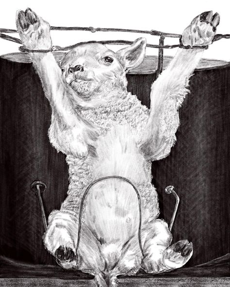 Lamb Sketch, Animal Agriculture, The Hope, Animation Art, Carousel, Agriculture, Art Sketches, Range, Drawings