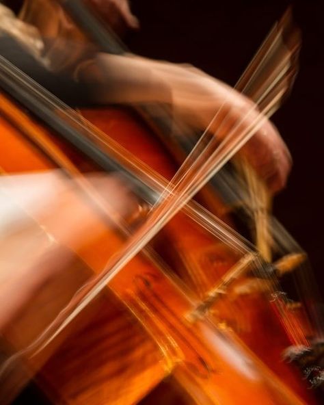 Hello Cello, Cello Photography, Violin Photography, All For Us, Feel The Music, Cello Music, Music Express, Cellos, Music Student