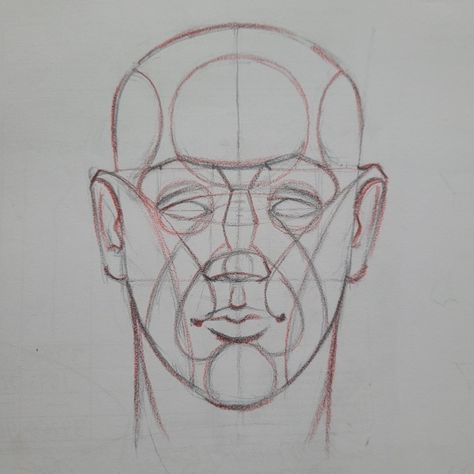 Portrait study using Loomis and Reilly method Riley Method, Loomis Method Head, Reilly Method, Anatomy Books, Figure Construction, Face Construction, Body Study, Portrait Study, Drawing Studies