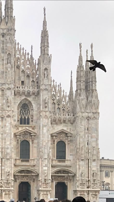 White Cathedral Aesthetic, Milan Cathedral Aesthetic, Mcr Collage, Cathedral Aesthetic, Milan Aesthetic, Goth Architecture, Milan Travel, Borzoi Dog, Milan Cathedral