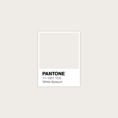 ☆P I N T E R E S T : @ellemartinez99☆ White Alyssum, Color Library, Pantone Swatches, Ice Castle, Pantone Palette, Fashion Textiles, Pantone Colour Palettes, Palette Design, Brand Color Palette