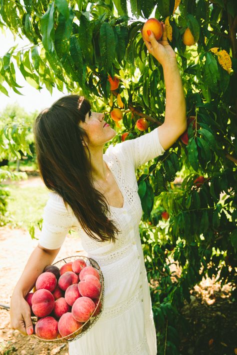 Peach Farm Aesthetic, Picking Peaches, Peach Picking Aesthetic, Fruit Picking Photoshoot, Peach Picking Photoshoot, Peach Orchard Photoshoot, Peach Picking, Peach Orchard, Happy Fruit