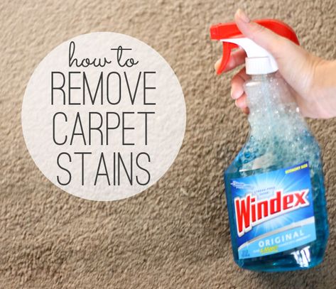 Remove Carpet Stains, How To Remove Carpet, Remove Carpet, Handy Gadgets, Stain Remover Carpet, Removing Carpet, Deep Cleaning Tips, Natural Cleaning, Household Cleaning Tips