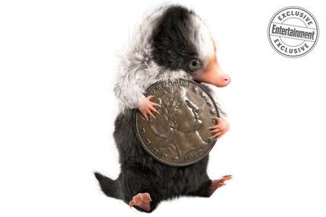 Such a cute baby Niffler !!! The Crimes Of Grindelwald, Fantastic Beasts 2, Fantasic Beasts, Crimes Of Grindelwald, Newt Scamander, Fantastic Beasts And Where, Harry Potter Fan Art, Harry Potter Universal, Harry Potter Fantastic Beasts