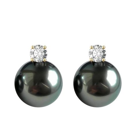 PRICES MAY VARY. black pearl Earrings is made of 925 sterling silver plated 18K gold,Electroplating three layers whose silver part is not oxidized easily, remaining radiant, use Imported Eight stars . Nonnyl Tahitian Black Pearl Earrings 9-10mm Round Women Silver Drop Dangle Women's Earrings Attention pleases: Most Tahitian Pearl Jewelry pearls that are identified as “black” are actually charcoal grey or dark green. All pearls are imported from Tahiti, each Tahitian pearl necklace has official c Pearl Gold Earrings, Tahitian Pearls Jewelry, Jewelry Pearls, Real Pearl Earrings, Black Pearl Earrings, Tahitian Pearl Necklace, Tahitian Black Pearls, Gold Pearl Earrings, Real Pearls