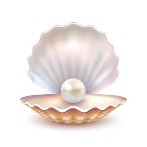 Download the Pearl Shell Realistic Close Up Image 471171 royalty-free Vector from Vecteezy for your project and explore over a million other vectors, icons and clipart graphics! Leaflet Template, Shell Drawing, Pearl Logo, Sale Flyer, Sale Banner, Pearl Shell, Abstract Watercolor, Watercolor Illustration, Banner Design