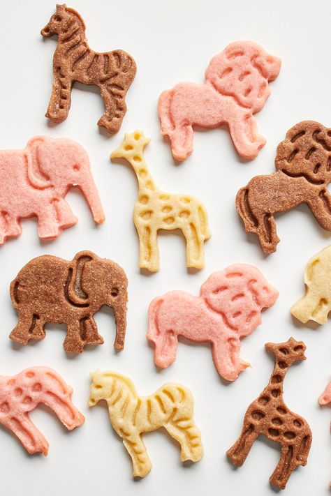 Line up for these (almost) too-adorable-to-eat homemade treats. No need to frost these animal cookies — with three neapolitan flavors, they’re roaring good. #backtoschool #backtoschoolrecipes #lunchrecipes #snackrecipes #cuisineathome #food #recipe Homemade Chocolate Animal Crackers, Homemade Animal Cookies, Childhood Snack Recipes, Chocolate Animal Crackers, Animal Cracker Cookies, Homemade Animal Crackers, Animal Crackers Recipe, Childhood Recipes, Animal Cookies Recipe