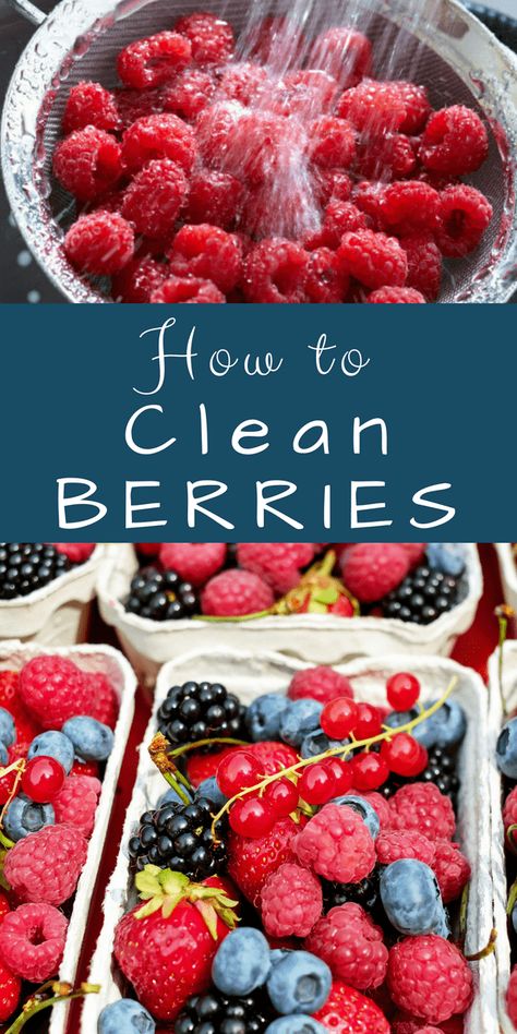 How to Clean Berries Cleaning Berries With Baking Soda, How To Clean Raspberries, How To Clean Berries, Cleaning Berries, Clean Berries, Vegetable Wash, Food Shelf Life, Fruit And Vegetable Wash, Strawberries And Blueberries