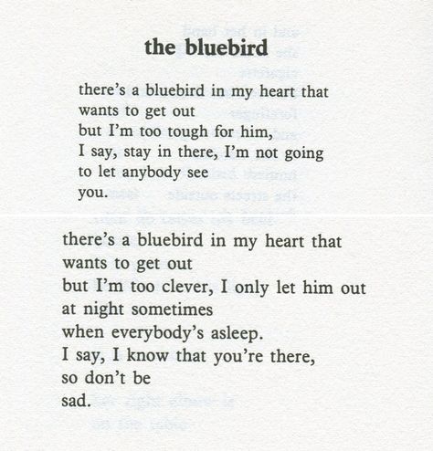 Charles Bukowski Quotes | Charles Bukowski. Bluebird in my heart | Quotes Bluebird In My Heart, Charles Bukowski Quotes, Bird Quotes, Charles Bukowski, Poem Quotes, Bukowski, Wonderful Words, Some Words, Bluebird