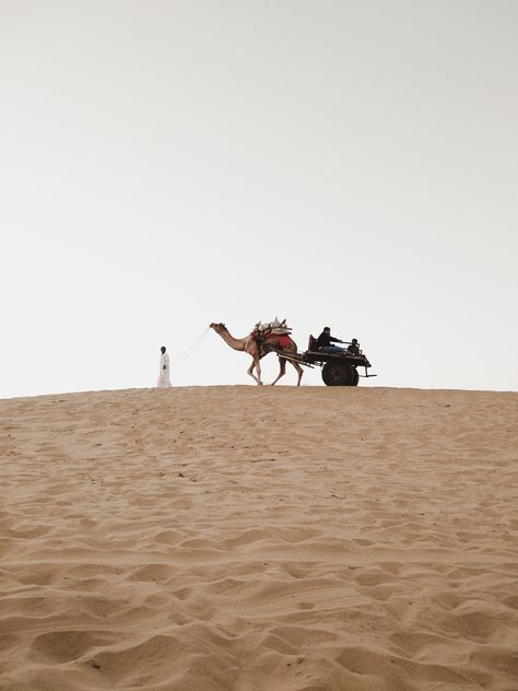 Open Jeep, Animals Reference, India Landscape, Thar Desert, Leh Ladakh, Artificial Lake, Yoga Travel, Jaisalmer, North India