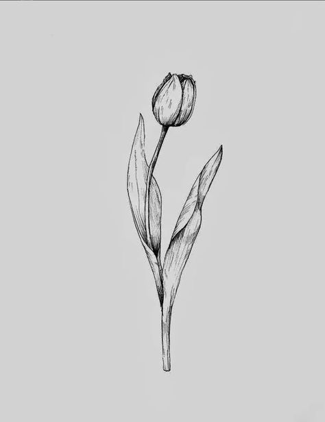 Tulip Tattoo Spine, Realistic Tulip Tattoo, Tulip Spine Tattoo, Tulips Tattoo Design, Tulip Tattoo Design, Tulip Tattoo Ideas, Tulips Tattoo, Tattoo Tulip, Tulip Tattoos