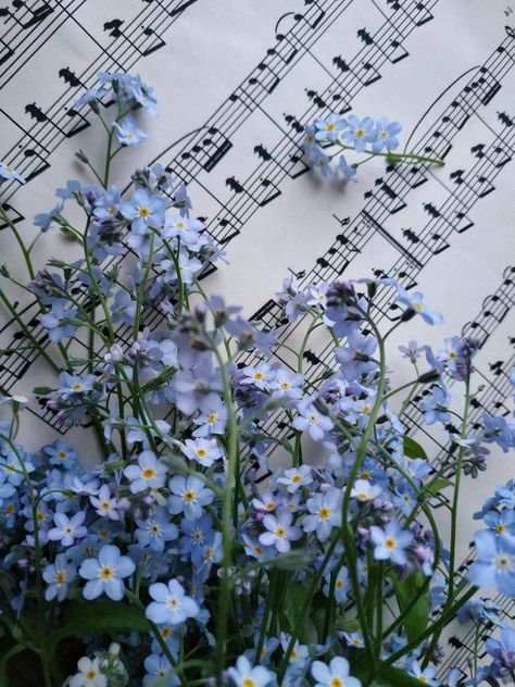 Music Notes, Blue Flowers, On Twitter, Twitter, Music, Flowers, Wall, Blue