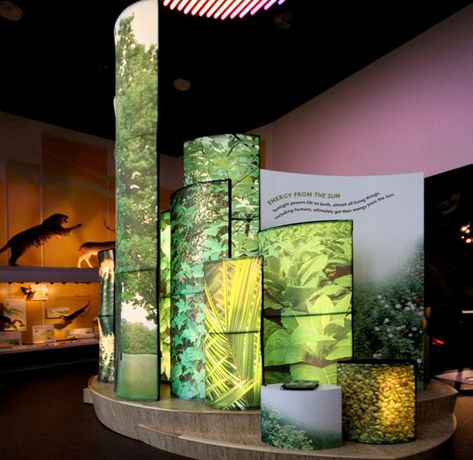 Forest Exhibition, Nature Exhibition, Exhibition Display Design, Nature Museum, Exhibition Booth Design, Museum Of Natural History, Exhibition Display, Exhibition Booth, Cloud Shapes