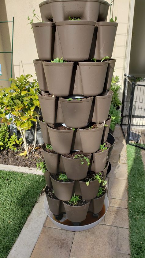 GreenStalk New Leaf Planter Unboxing and Review Herb Planter Box, Vertical Container Gardening, Vertical Garden Wall Planter, Vertical Succulent Gardens, Pot Wall, Vertical Garden Planters, Strawberry Planters, Vertical Planter, Vertical Garden Wall