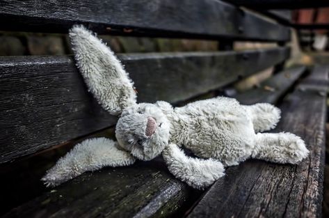 Abandoned Toy Abandoned Teddy Bear, Abandoned Objects, Abandoned Photography, Lost Things, Creepy Toys, Little Misfortune, Pandora Hearts, Life Is Tough, Gcse Art