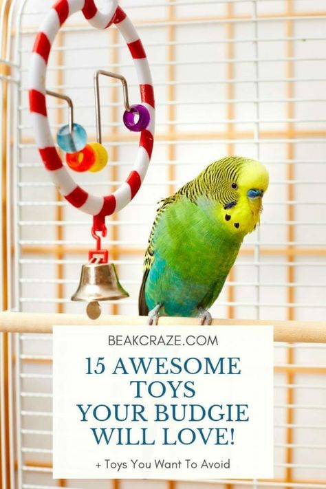 Diy Budgie Toys, Homemade Bird Toys, Parakeet Care, Budgie Cage, Diy Bird Cage, Parakeet Toys, Diy Bird Toys, Budgie Toys, Amazing Toys