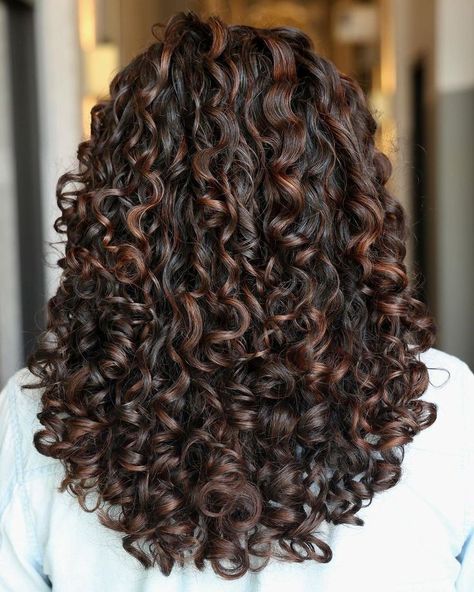 Brown Highlights In Curly Hair, Natural Highlights In Brown Hair, Cute Highlights For Curly Hair, Black Brown Curly Hair, Curly Hair Dark With Highlights, Highlight In Dark Brown Hair, Curly Black Hair With Caramel Highlights, Curly Hair Brown With Highlights, Brown Curly Hair With Auburn Highlights