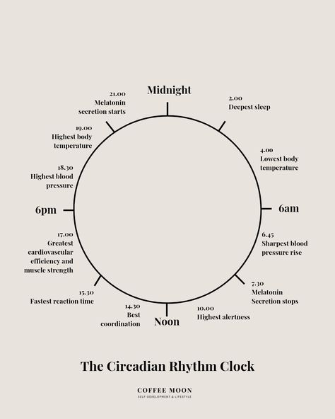 Circadian Rhythm Chart, Chinese Body Clock, A Love Letter To Myself, Circadian Clock, Love Letter To Myself, Energy Shift, Zen Mode, Healthy Girl Era, Quotes From The Heart