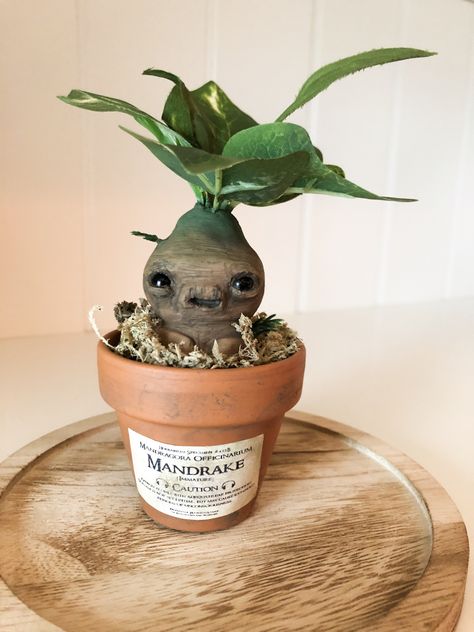 Clay Mandrake, Easy Clay Sculpture Ideas, Clay Sculpture Ideas, Harry Potter Art Projects, Easy Clay Sculptures, Harry Potter Ornaments, Lego Coloring Pages, Clay Monsters, Halloween Potion Bottles