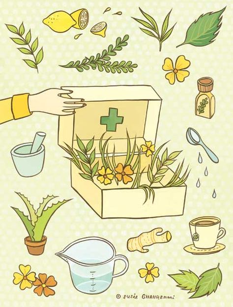 Health & Wellness illustration about home remedies for common illnesses for the BUST DIY Guide to Life published by Abrams Books © Susie Ghahremani / boygirlparty.com Herbal Alchemy, Nature Illustration, Medicinal Herbs, Natural Medicine, Editorial Illustration, Children's Book Illustration, Herbal Medicine, Herbal Remedies, Alchemy