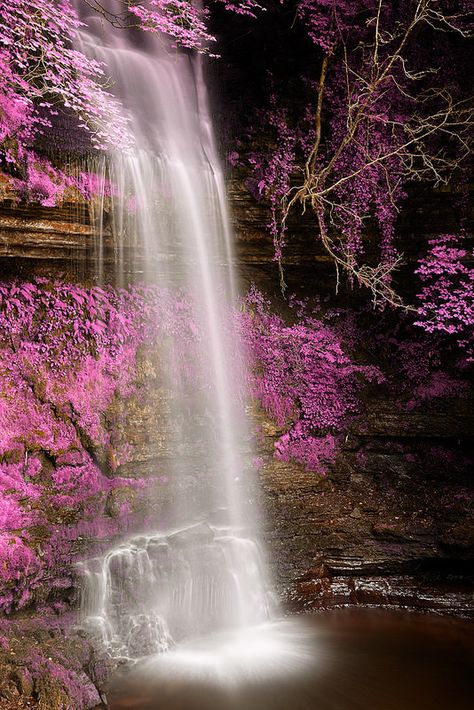 Pink Glencar Falls - HDR | by freestock.ca ♡ dare to share beauty Falls Wallpapers, Unique Photos, Pink Trees, Airbrush Art, Beautiful Waterfalls, Ireland Travel, Places Around The World, In The Woods, Amazing Nature