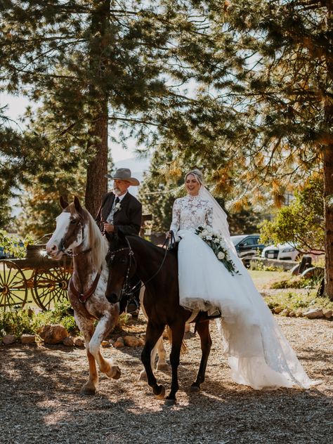 Timeless Bride riding in Horseback
Photo by: Heather Murphy Photography
Venue: Iron Horse Unlimited Mount Shasta, CA Riding Horse Down The Aisle, Horse At Wedding, Wedding Photos With Horses, Bride On Horse, Timeless Bride, Wedding Procession, Country Bride, Horse Wedding, Events Planning