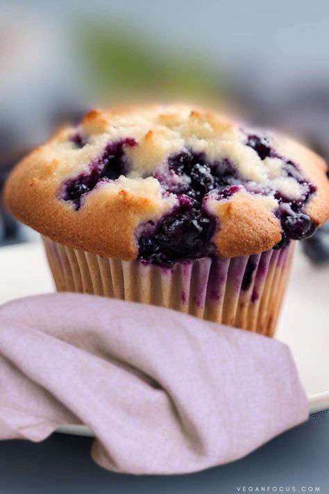 The Best Vegan Blueberry Muffins - Vegan Focus Vegan Blackberry Muffins, Blueberry Strudel, Vegan Costco, Bluberry Muffins, Blackberry Muffin, Vegan Blueberry Muffins, Blueberry Oatmeal Muffins, Vegan French, Muffins Vegan