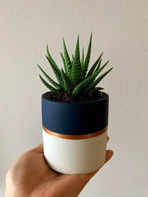 Succulent Workshop, Plant Pot Design, Flower Pot Art, Plant Pot Diy, Pot Design, Painted Pots Diy, Painted Plant Pots, Flower Pot Design, Modern Rainbow