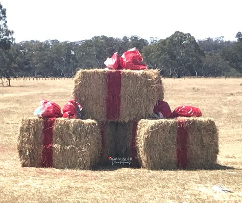 Straw Bales Christmas Decor, Ranch Christmas Decor Outdoor, Hay Bales Christmas Decor, Barn Decorated For Christmas, Barnyard Christmas Decor, Round Hay Bale Decorating Ideas Christmas, Hay Bale Christmas Decor, Hay Bale Christmas Tree, Christmas Hay Bale Ideas