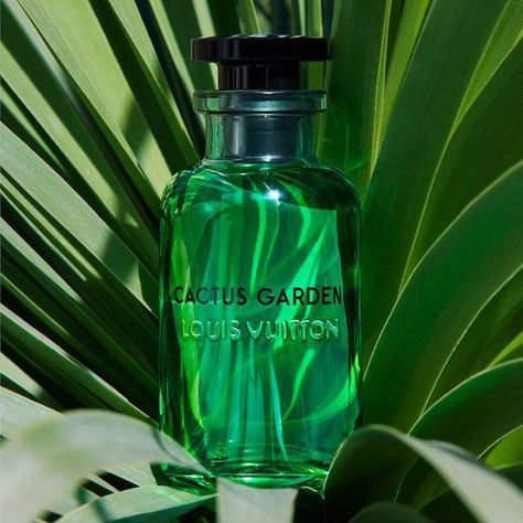 Gentlewoman style: Louis Vuitton cologne perfumes include Cactus Garden, an edp strength fragrance with bergamont, cucumber and lemongrass. Read more on DisneyRollerGirl.net Louis Vuitton Cologne, Louis Vuitton Perfume, Hermes Perfume, Louis Vuitton Collection, 3d Motion, Celebrity Perfume, Perfume Design, Cactus Garden, Best Perfume