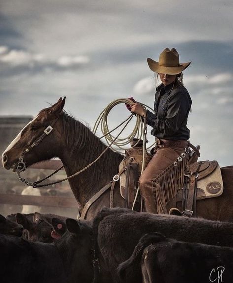 Mode Country, Cowboy Photography, Foto Cowgirl, Western Photoshoot, Cowgirl Pictures, Western Photo, Western Photography, Cowboy Girl, Cowgirl And Horse