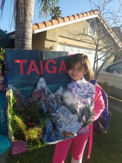 Taiga Biome project Taiga Biome Project, Taiga Diorama, Biome Project Ideas, Taiga Biome, Biome Project, Habitat Project, Biomes Project, Project Science, Habitats Projects