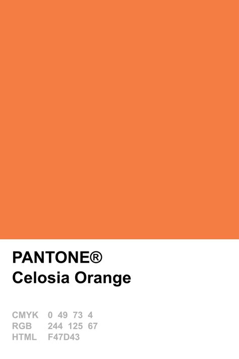 Pantone 2014 Celosia Orange Orange Pantone Color, Colour Pantone, Orange Pantone, Pantone Orange, International Orange, Pantone Swatches, Muted Orange, Pantone Palette, Pantone Colour Palettes