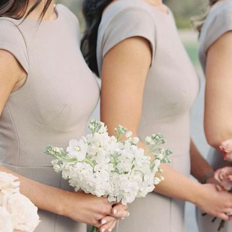 Wedding & Event Floral Design on Instagram: "A 2023 look we are thrilled to see more of is unique and single product bridesmaid’s bouquets. What do you guys think?!?   #bridesmaidsbouquet #bridesmaids #bridesmaidsbouquets #uniquebeidesmaidsbouquets #singleproductbouquet #uniquebouquets #bridesmaidsbouquets" Bouquet Shapes, Hand Bouquet, Event Floral Design, Bridesmaid Bouquet, Gold Dress, Wedding Event, Elegant Dresses, Getting Married, Wedding Events