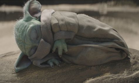 Yoda Species, Yoda Wallpaper, Babylon Bee, Star Wars Canon, Master Yoda, Star Destroyer, So Tired, Star Wars Yoda, Star Wars Pictures