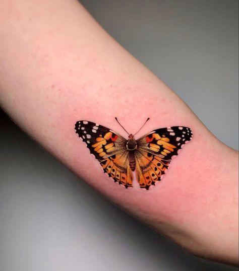 Pretty Cover Up Tattoos For Women, Painted Lady Butterfly Tattoo, Butterfly Elbow Tattoos For Women, Orange Butterfly Tattoo, Quote Tattoos For Women, Women With Butterfly, Realistic Butterfly Tattoo, Nature Tattoo Ideas, Orange And Black Butterfly