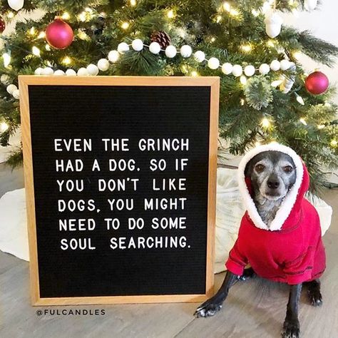 Even the Grinch had a dog! #Regram via @BrVqTTnhICG Christmas Quotes Grinch, Funny Christmas Messages, Holiday Quotes Funny, Funny Christmas Jokes, Der Grinch, Christmas Jokes, Dog Quotes Funny, Holiday Quotes, Christmas Messages