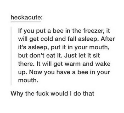 B Funny Tumblr, 9gag Funny, Funny Tumblr Posts, Silly Jokes, Memes Humor, How To Get Warm, Fall Asleep, Tumblr Funny, Tumblr Posts