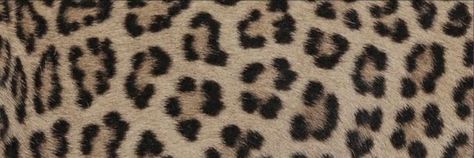 Animal Print Y2k, Twt Layout, Print Twitter, Cute Headers For Twitter, Twitter Header Pictures, Twitter Header Photos, Cute Headers, Header Pictures, Cheetah Animal