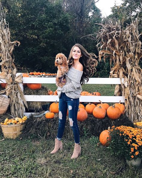 15+ Thanksgiving Outfit Ideas | Southern Curls & Pearls | Bloglovin’ Outfit Ideas Christmas, Southern Curls And Pearls, Superenge Jeans, Thanksgiving Outfit Ideas, Cute Thanksgiving Outfits, Thanksgiving Outfit Women, Holiday Outfits Women, Pumpkin Patch Outfit, Thanksgiving Outfits