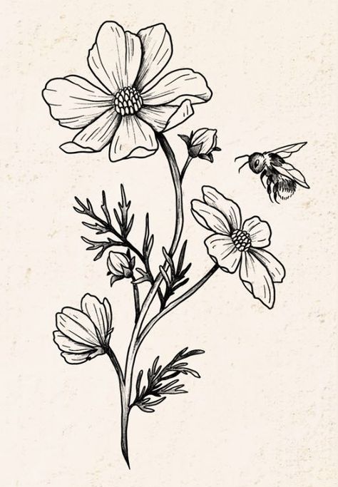 Bee Sketch, Flower Sketches, Black Ink Tattoos, Simplistic Tattoos, Coloring Book Art, Tattoo Stencils, Cool Art Drawings, Future Tattoos, Ink Art