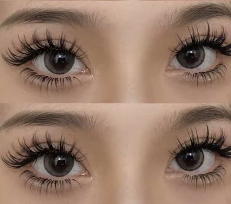 Lash Extensions For Asian Eyes, Korean Lashes, Manhua Lashes, Doe Eye Makeup, Lash Ideas, Natural Fake Eyelashes, Vision Bored, Lashes Fake Eyelashes, Lash Extensions Makeup