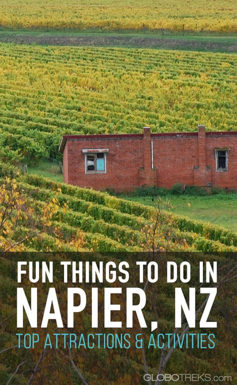 Things To Do In Napier New Zealand, Napier New Zealand, New Zealand Beach, New Zealand Travel Guide, Australia Itinerary, Visit New Zealand, Oceania Travel, Travel Australia, New Zealand Travel