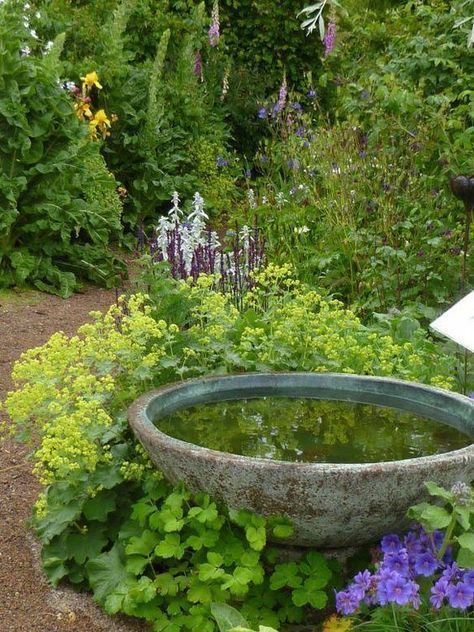 Taman Air, Garden Water Feature, Cottage Garden Design, Gravel Garden, Water Features In The Garden, The Secret Garden, Woodland Garden, Water Feature, Garden Cottage